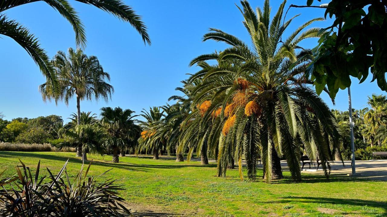 Myflats Brisas Del Sur Daire Alicante Dış mekan fotoğraf